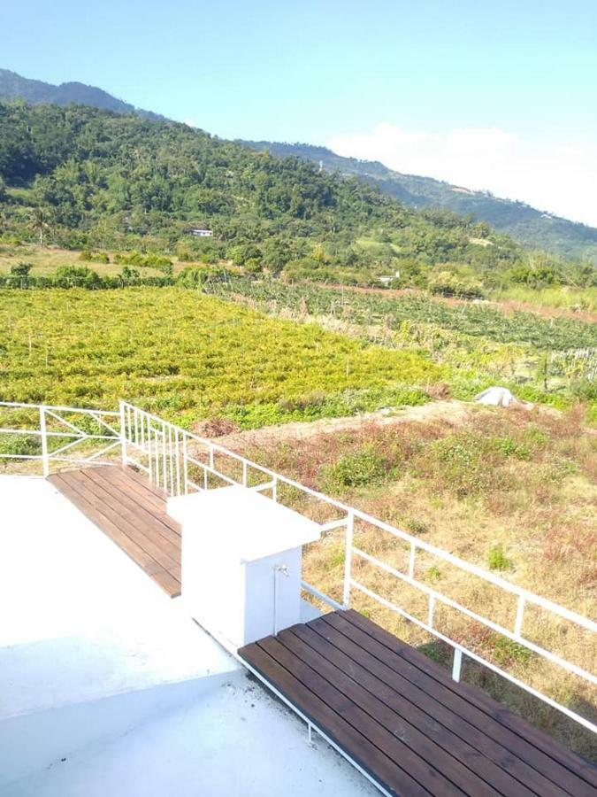 Back To Real Hostel Taitung Екстер'єр фото