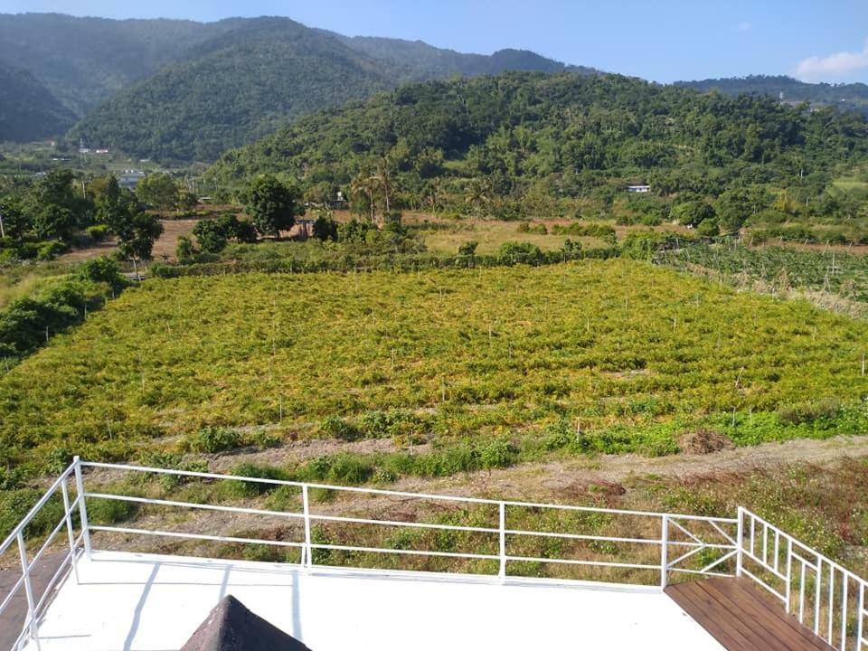 Back To Real Hostel Taitung Екстер'єр фото